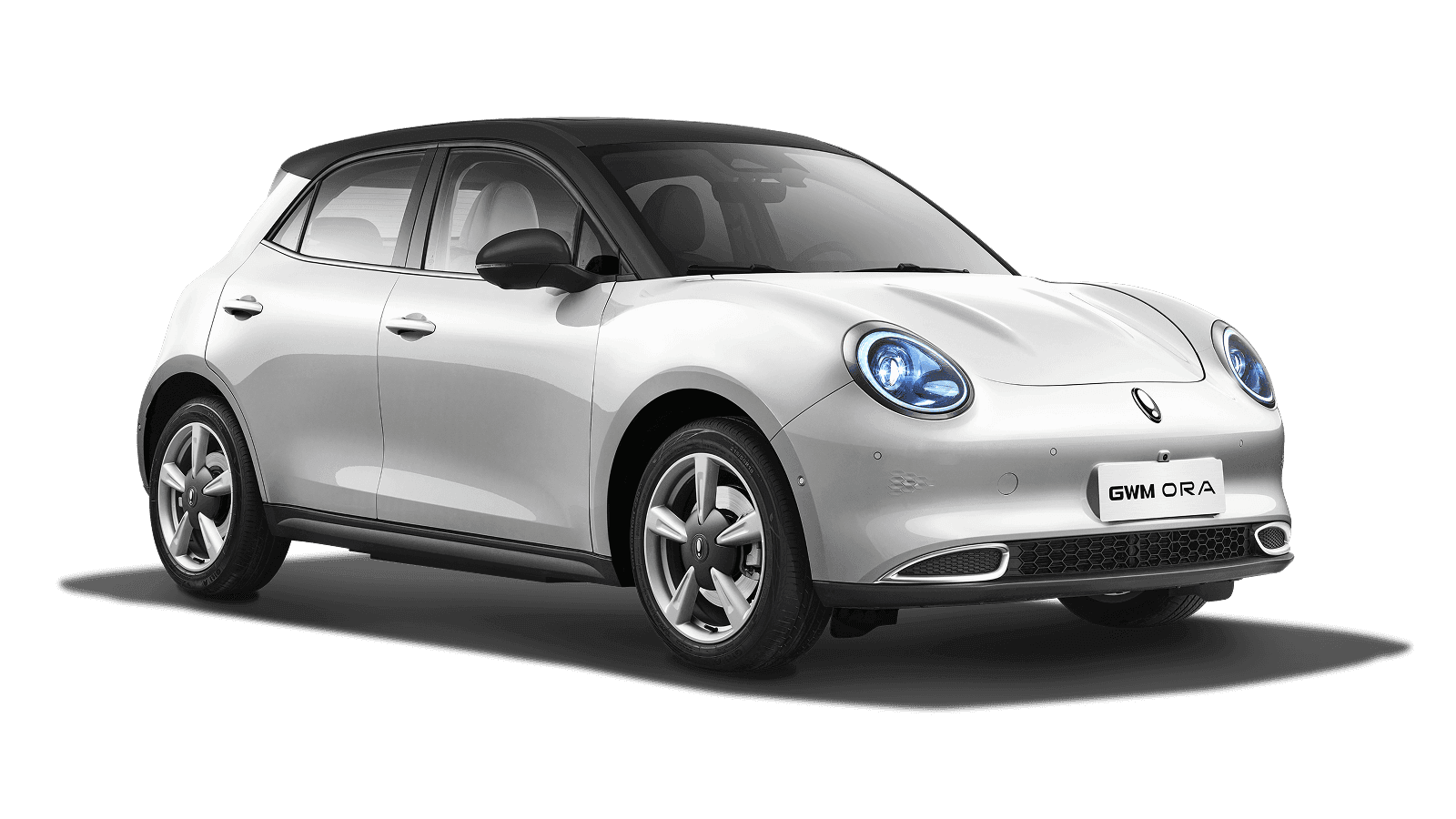 Hamilton White with Black Roof